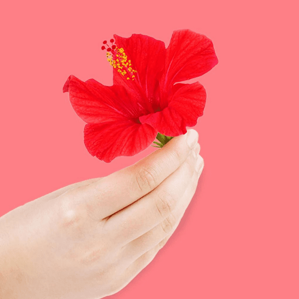 Poo-Pourri Tropical Hibiscus