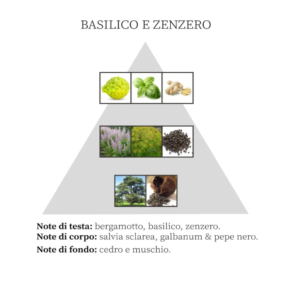 Cristiana Bellodi - Profumo per Ambiente Spray Basilico e Zenzero ingredienti
