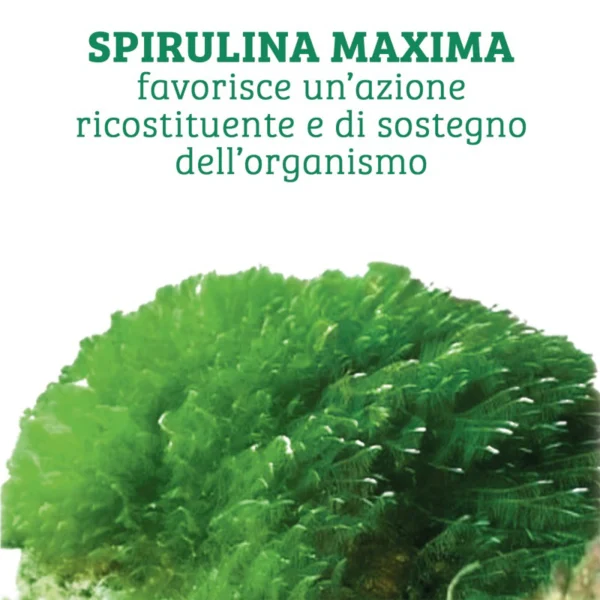 Integratore Spirulina Maxima 60 Compresse